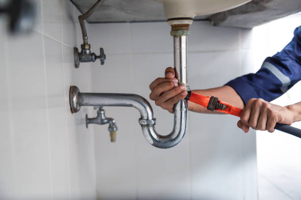 Best Emergency Plumber  in Penitas, TX