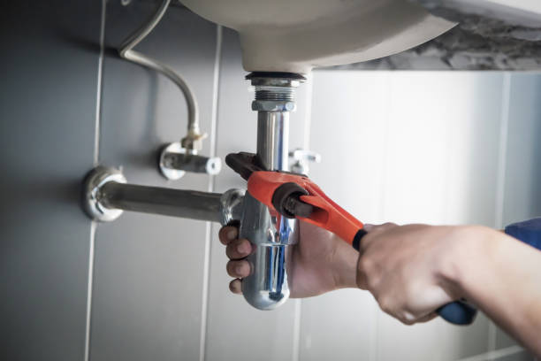 Best Affordable Plumbing Services  in Penitas, TX