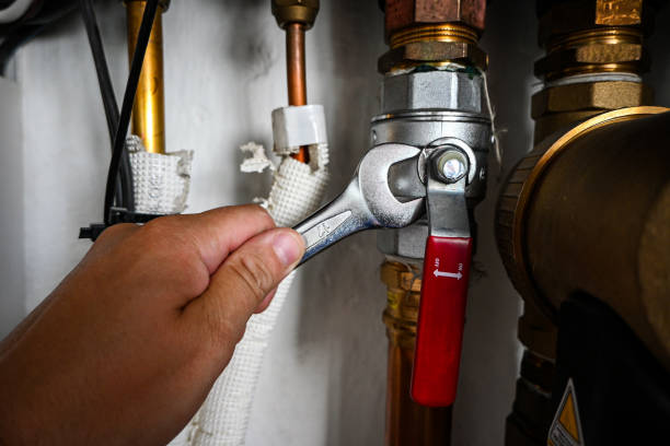Best Best Plumbers Near Me  in Penitas, TX